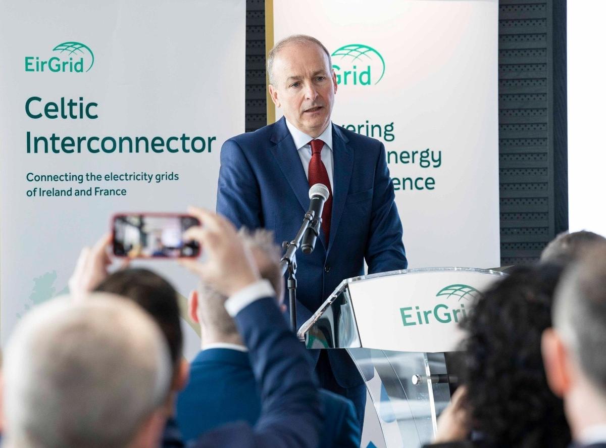 Tánaiste Micheál Martin makes a speech