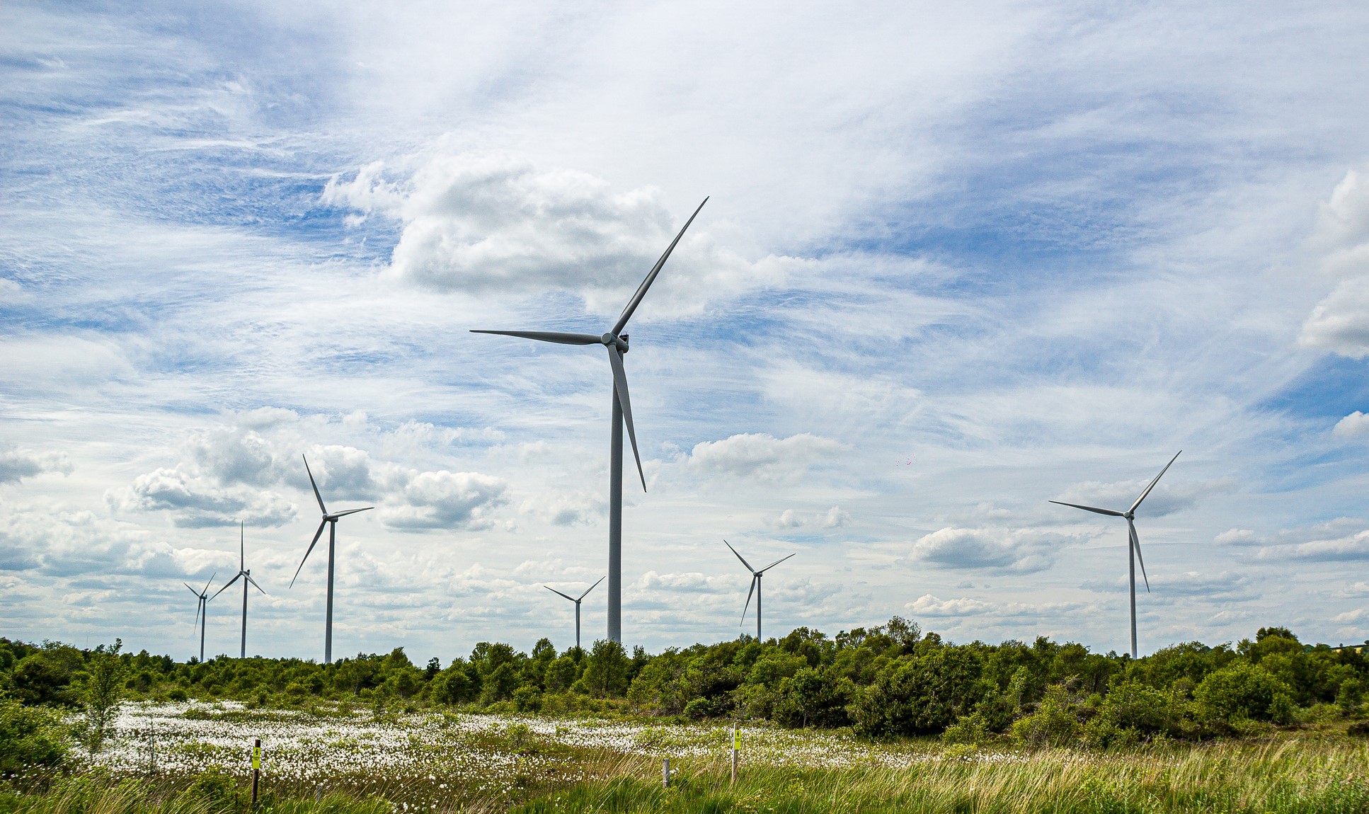 Wind turbines surrounded by flowers and greenery