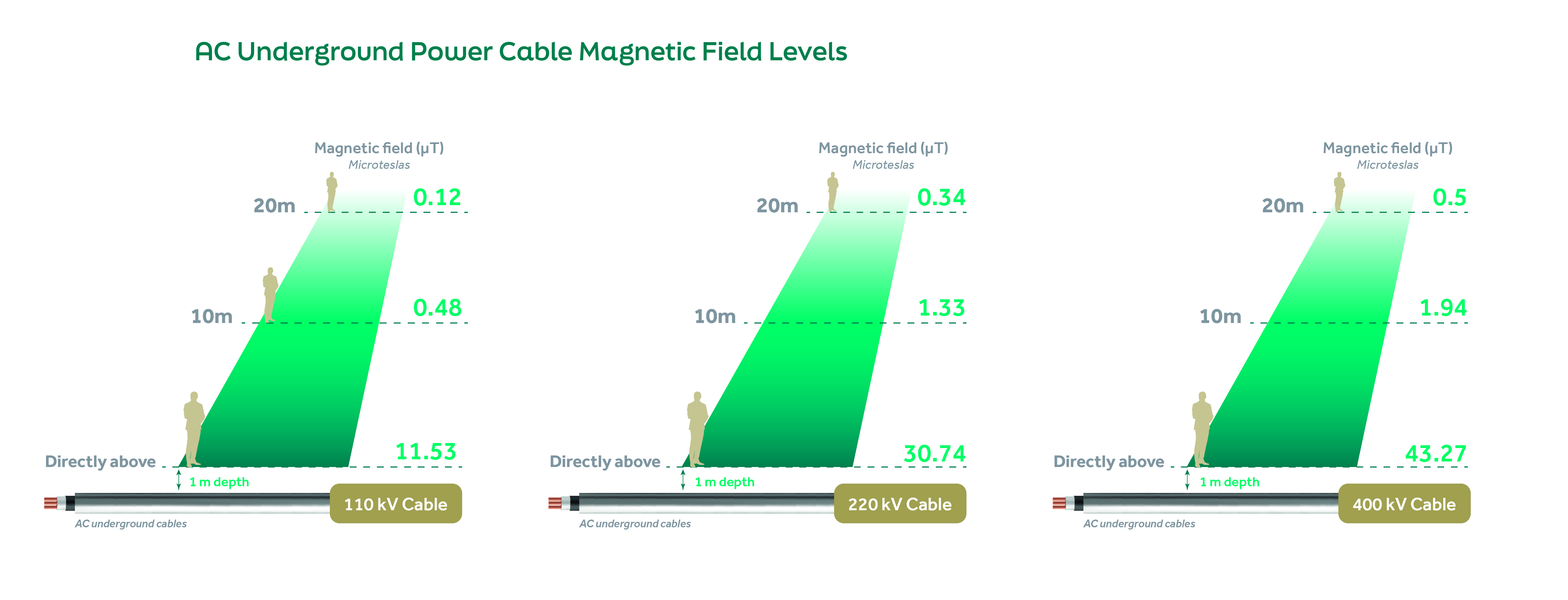 Electric and Magnetic Fields (EMFs)
