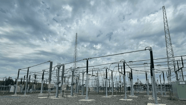 The Corduff plant